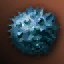 Seed: Alternative Sea Codran